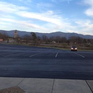 Meet your Posher, Sheba